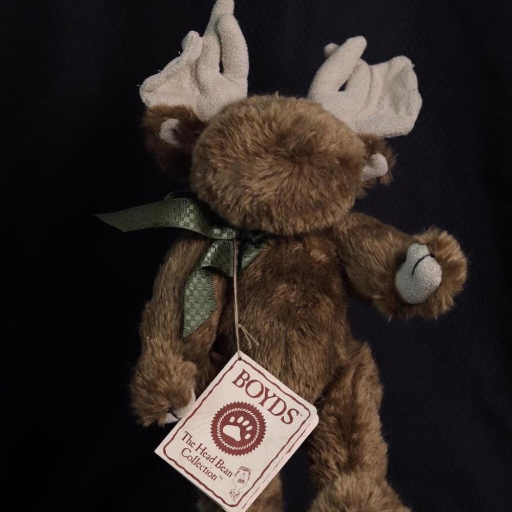 NWT - Boyd’s Moose